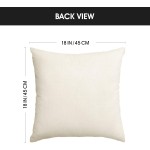 AVOIN colorlife Bless Our Home Farmhouse Eucalyptus Leaves Throw Pillow Covers, 18 x 18 Inch Truck Home Sweet Home Cushion Case Decorations Set of 4