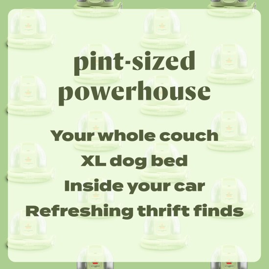 BISSELL Little Green Mini Portable Carpet and Upholstery Deep Cleaner, Car/Auto Detailer, with HydroRinse Self-Cleaning Tool and 4" Tough Stain Tool, Tea Green, 4075